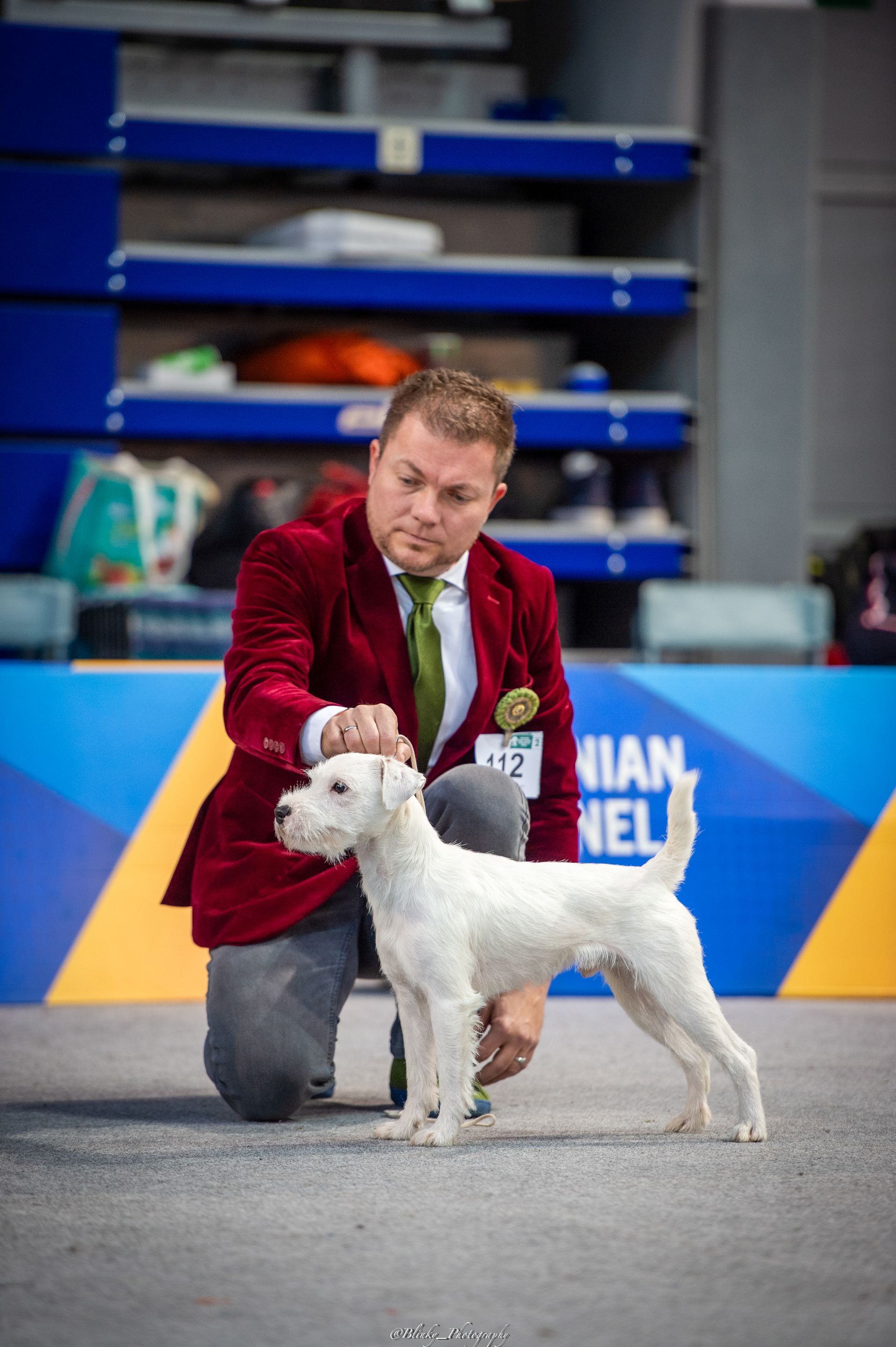 Fortune Cookie of Green Spirits Sarajevo Winter Show