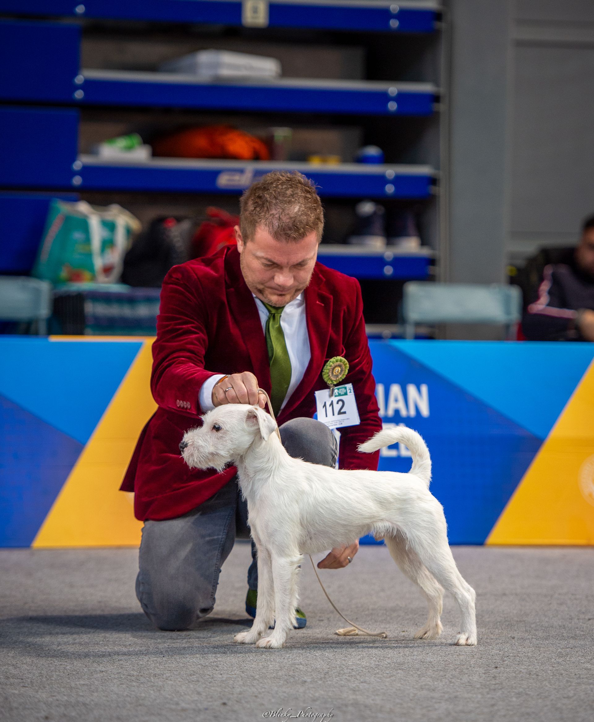 Fortune Cookie of Green Spirits Sarajevo Winter Show
