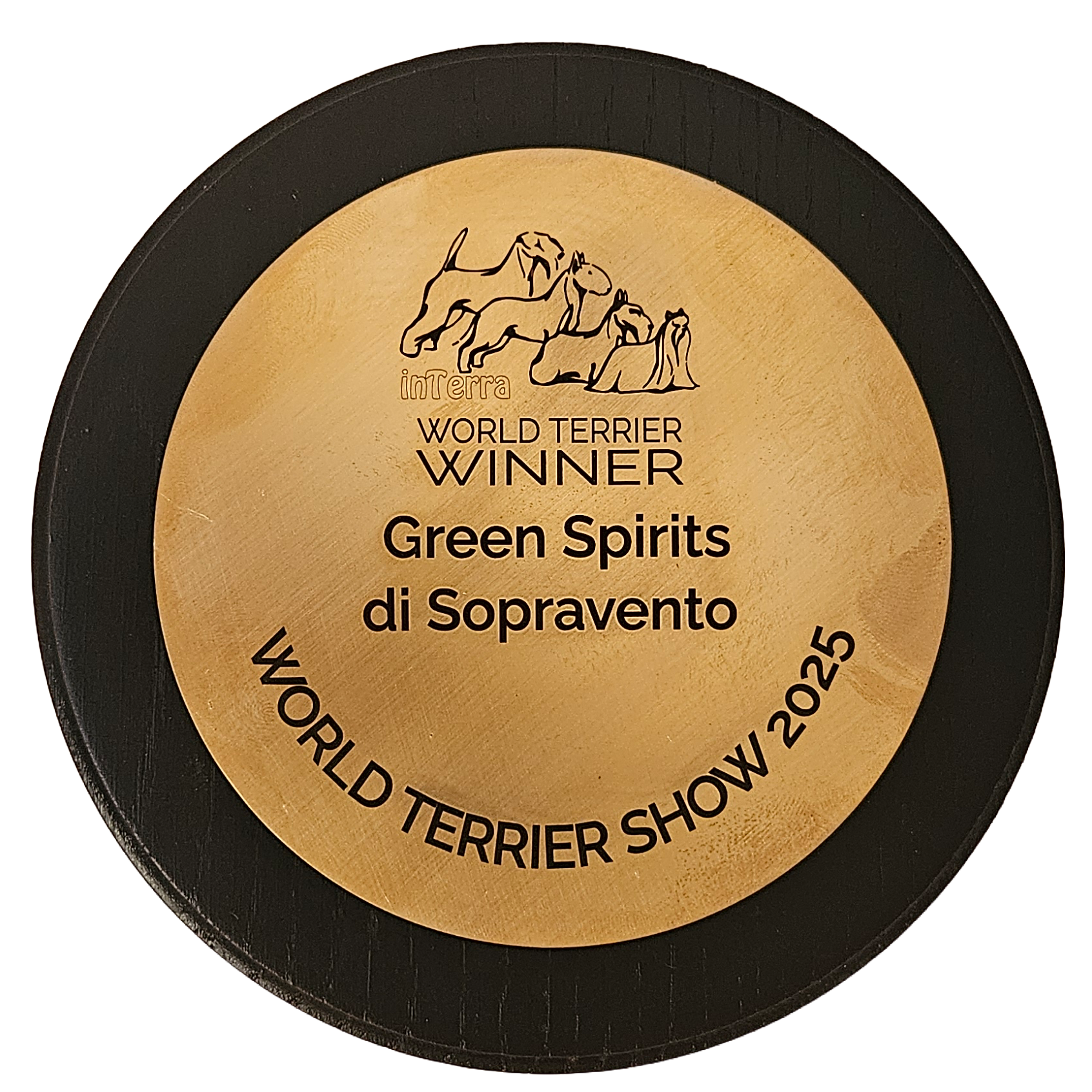Interra World Terrier Winner 2025
Green Spirits di Sopravento