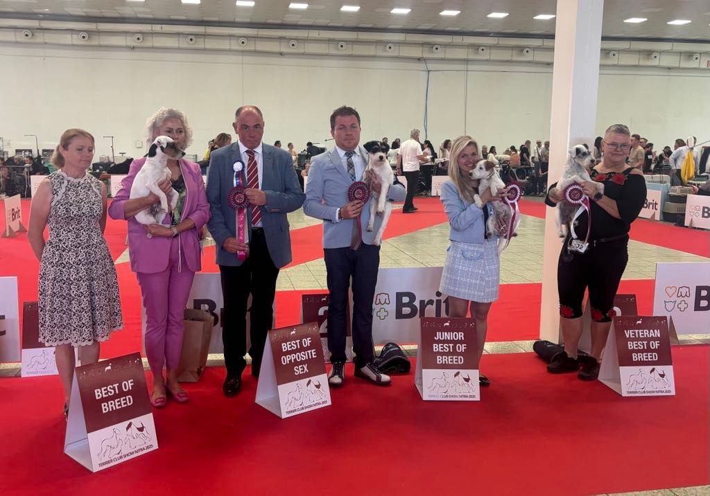 Ein Sieger-Gruppenfoto auf dem Roland ganzer, Züchter der Zuchtstätte Of Green Spirits, die Hündin Evangeline of Green Spirits mit Ihrer Siegerrosette hält