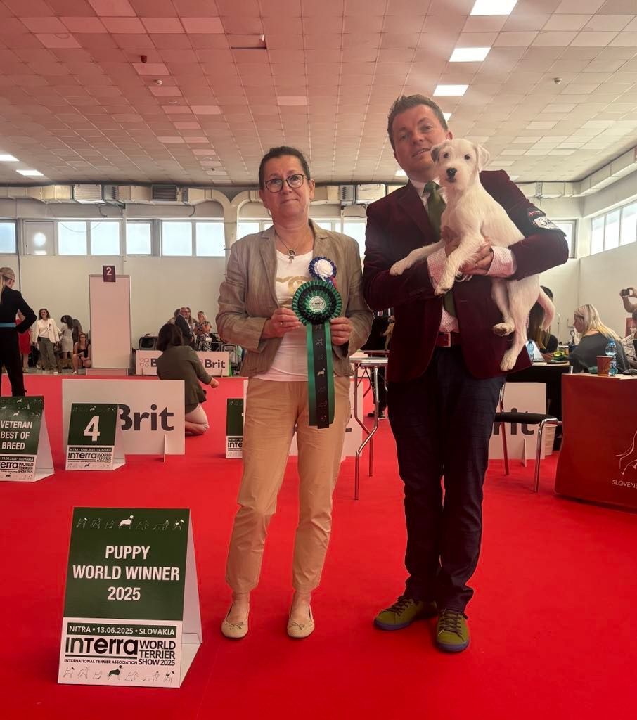 am Bild steht Judit Korosz-Papp mit Roland Ganzer, Züchter der Champion Parson Russell Terrier Zucht mit dem Welt Interra Baby 2025 Fortune Cookie of Green Spirits
