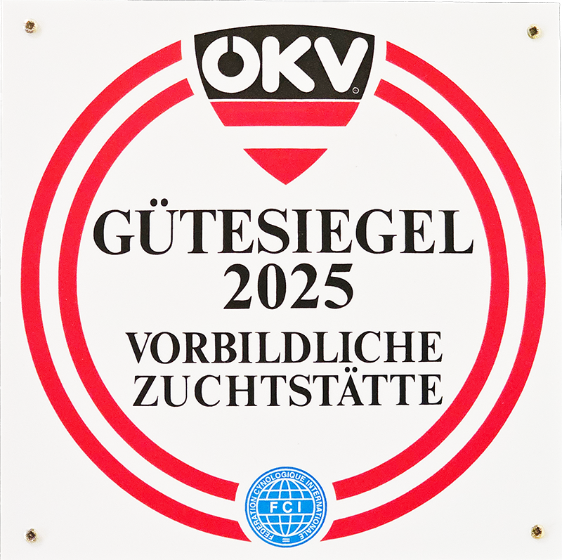 ÖKV Gütesiegel, Parson Russell Terrier Zucht  Parson Russell Terrier Zucht