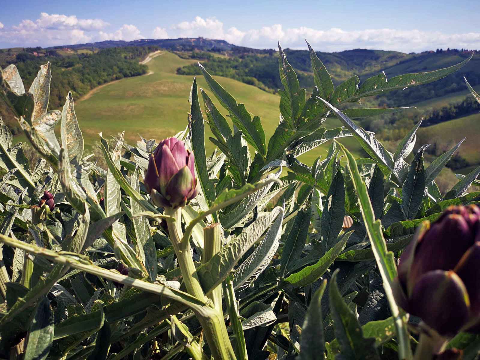 Toskana Italien Natur