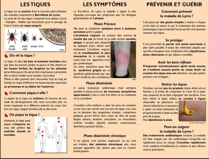 cliquez pour agrandir