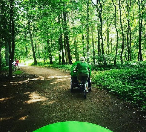 Böhms Nahtouren - Ausfahrten für Senioren & Menschen mit Gehbeeinträchtigung Böhms Nahtouren - Ausfahrten für Senioren & Menschen mit Gehbeeinträchtigung
