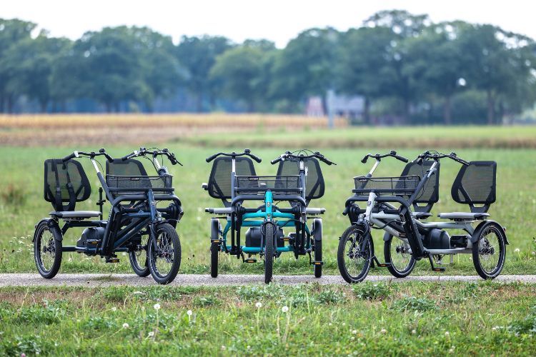 in verschiedenen Farben