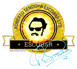 Roberto Sendoya Escobar Ltd-logo Roberto Sendoya Escobar Ltd-logo