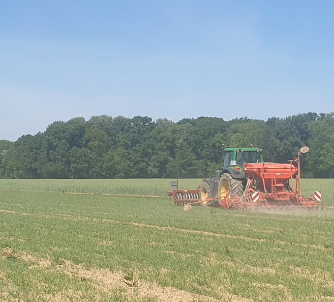 Crédit : Anne-Charlotte BEAUGRAND-RIVIERE