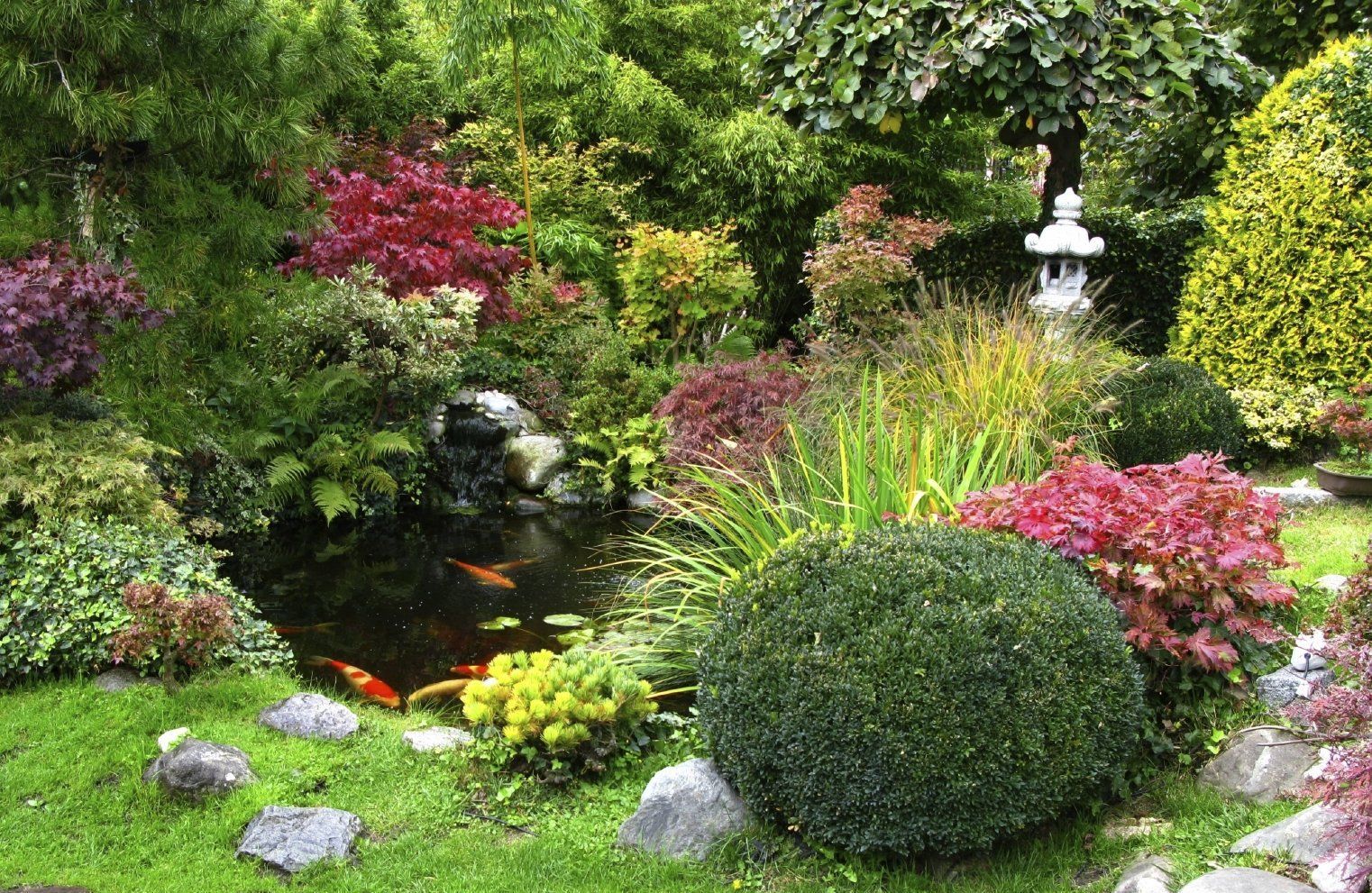 st. louis nursing homes, cheapest st. louis cremation