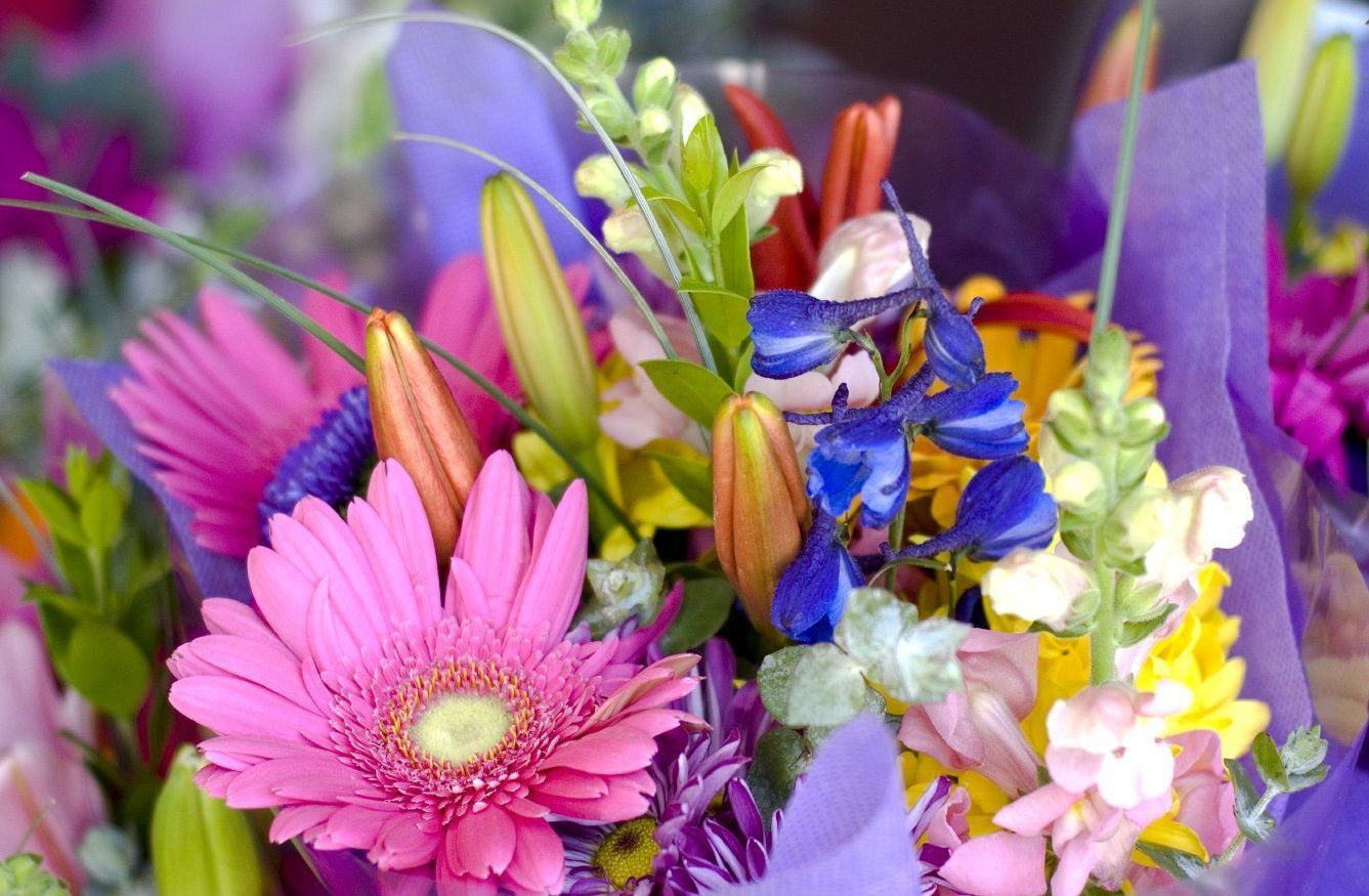 ssm hospitals, cheapest st. louis cremation