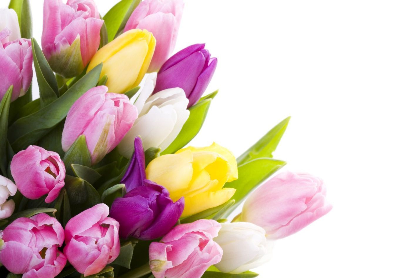 st. louis hospice care, mercy hospitals, body donation in St. louis, cheapest st. louis cremation, st. louis orrgan donation