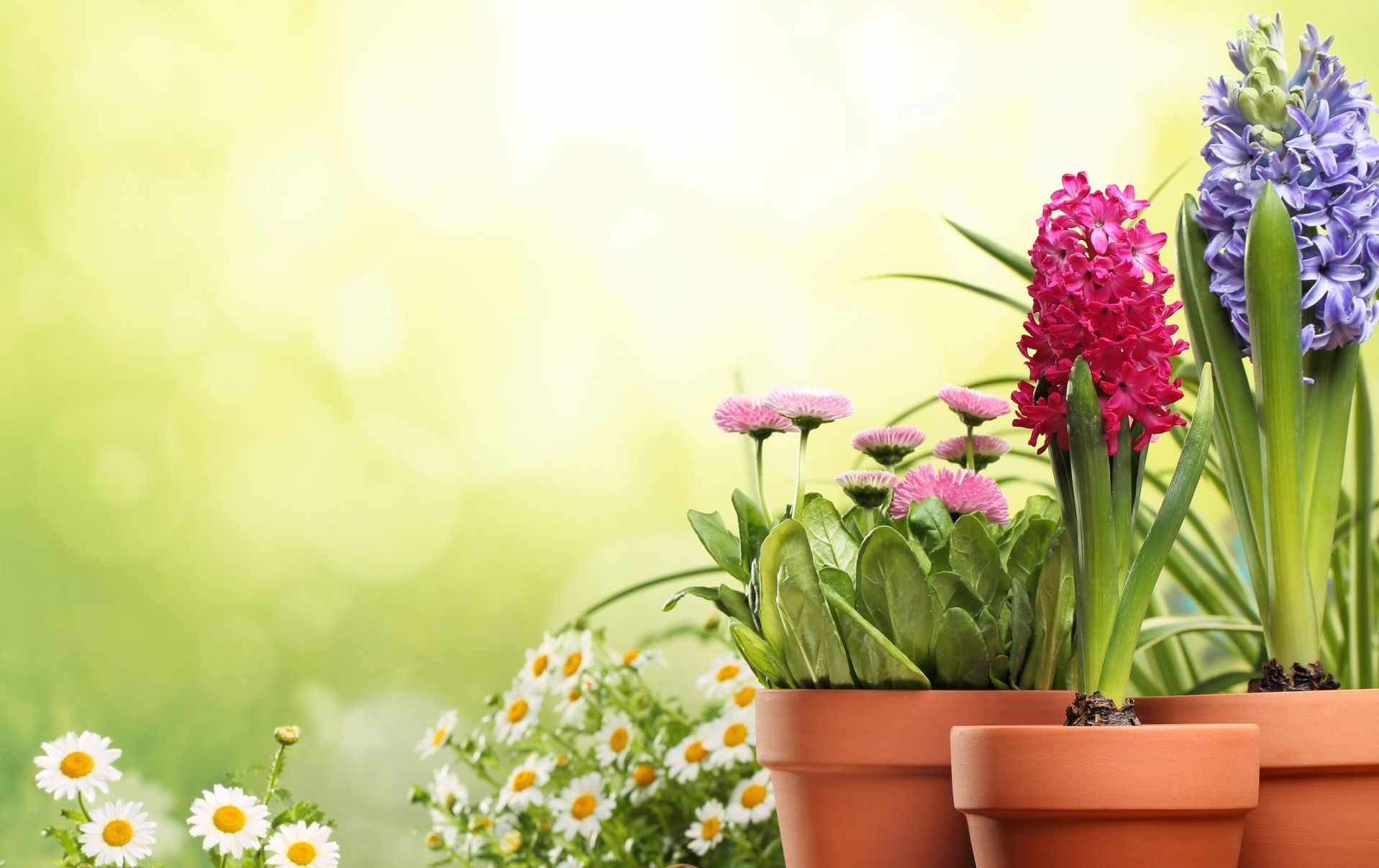 St. Charles, Lake St. Louis cremation, cheapest cremation, pastoral care, hospital