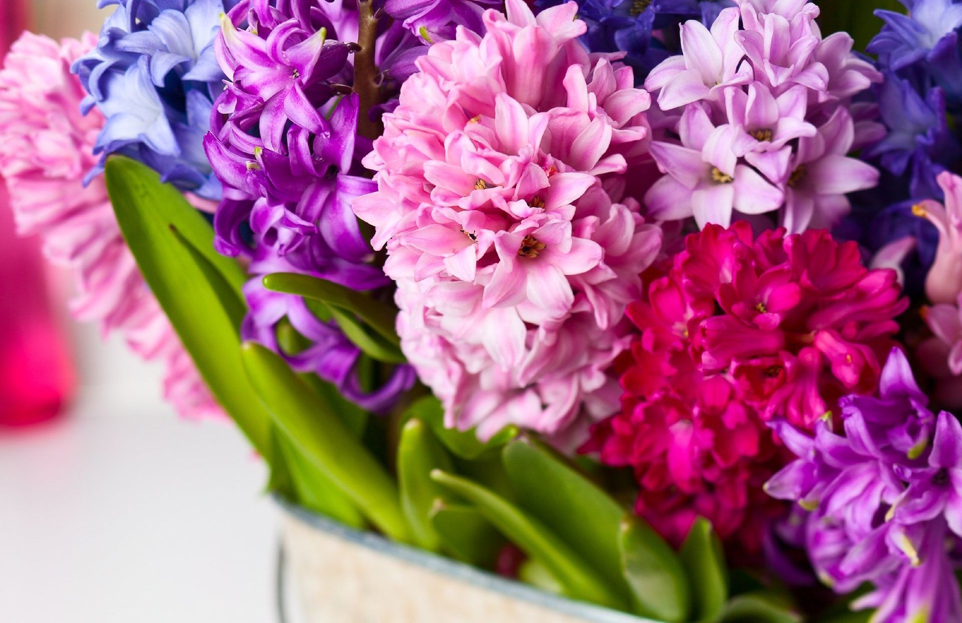 Ssm hospitals, cheapest st. louis cremation, discount cremation