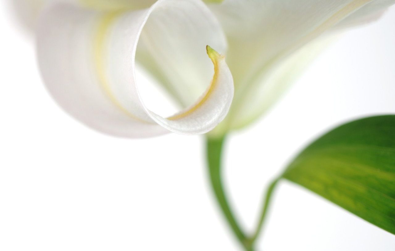 st. louis medical examiner, cheapest st. louis cremation