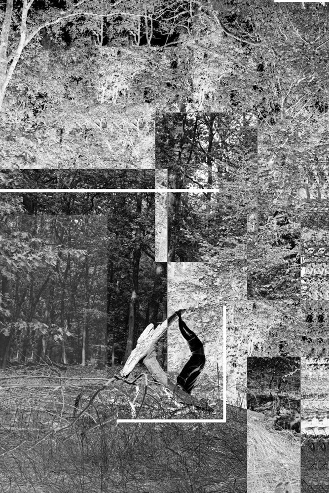 Glyphosate bonding _Eun-Sun-Cho