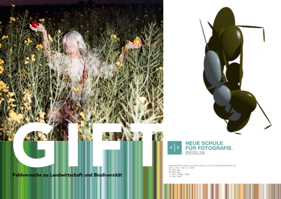 Gift Ausstellung neue schule für Fotografie Berlin Heinrich Böll Stiftung