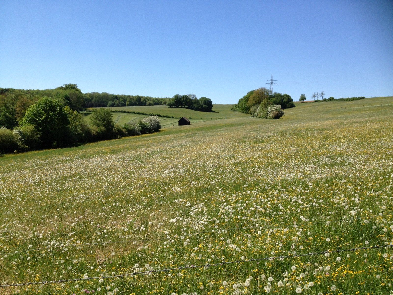 Bauplatz bei Schwäbsich Gmünd