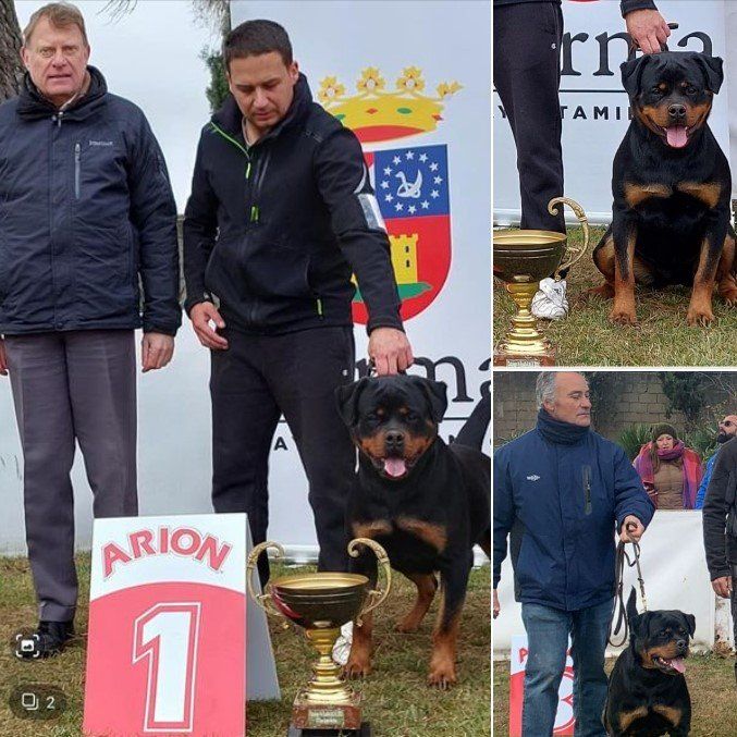 Arlos Campeón de Portugal