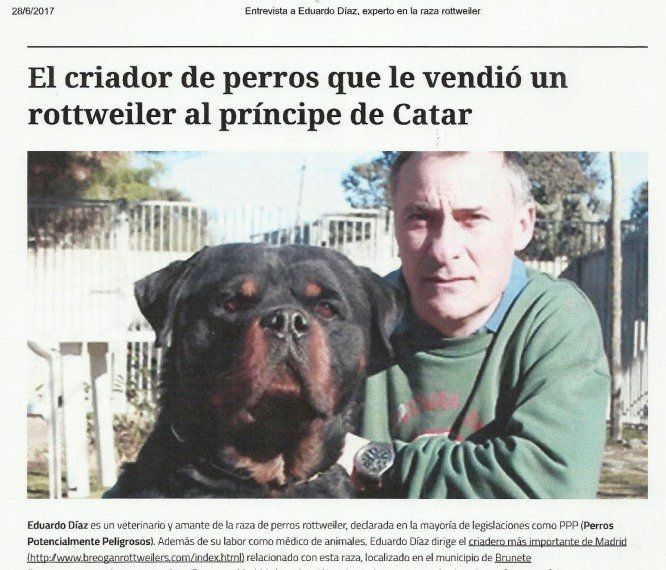 Eduardo Diaz criadero Rottweiler principe Qatar Eduardo Qatar