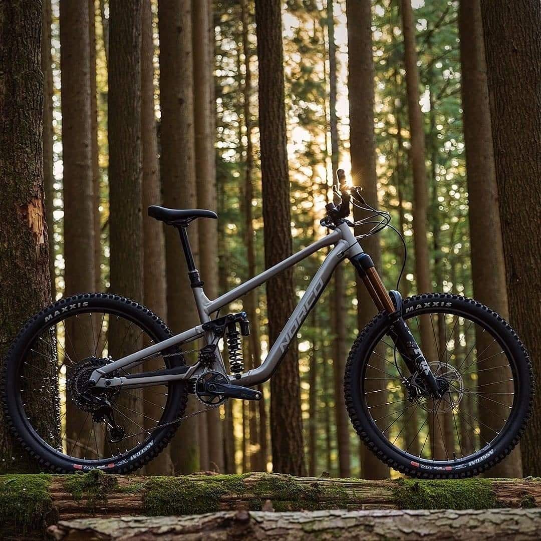 Mountainbike auf Baumstämmen im Wald