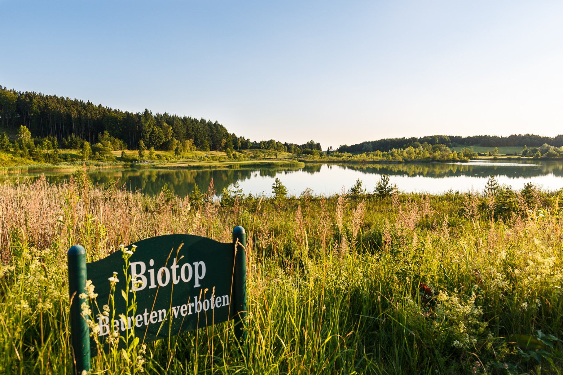 Biotop Fuerstliches Golf- und Natur-Resort