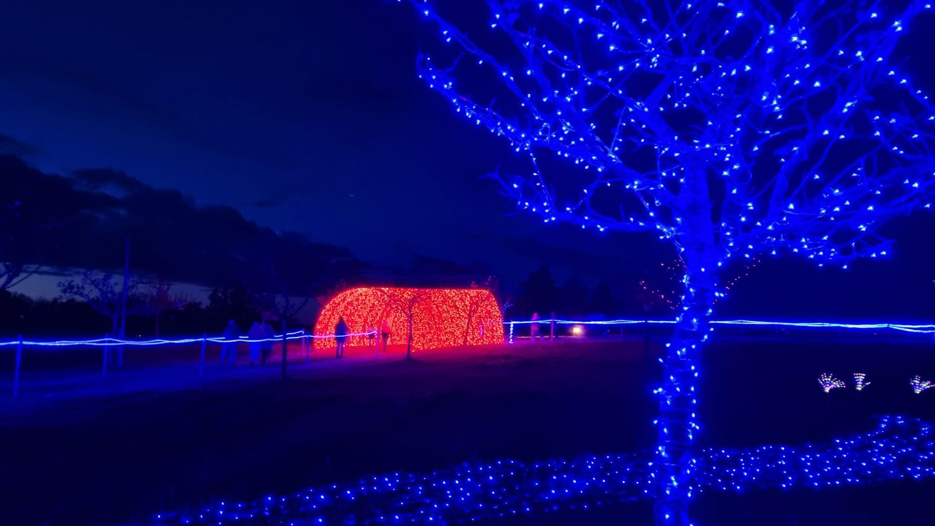 Fuerstliches Winterleuchten Bad Waldsee Beleuchtung blau und rot