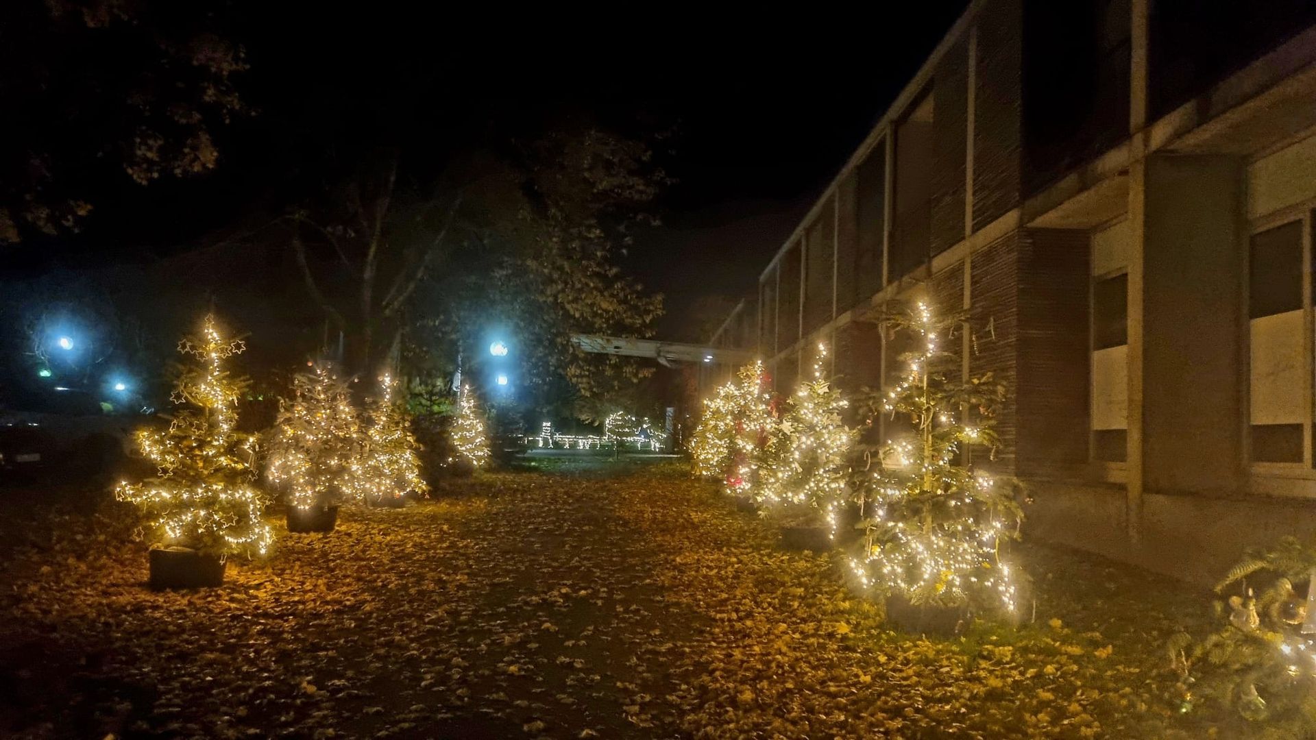 Fuerstliches Winterleuchten Bad Waldsee Beleuchtung weiss