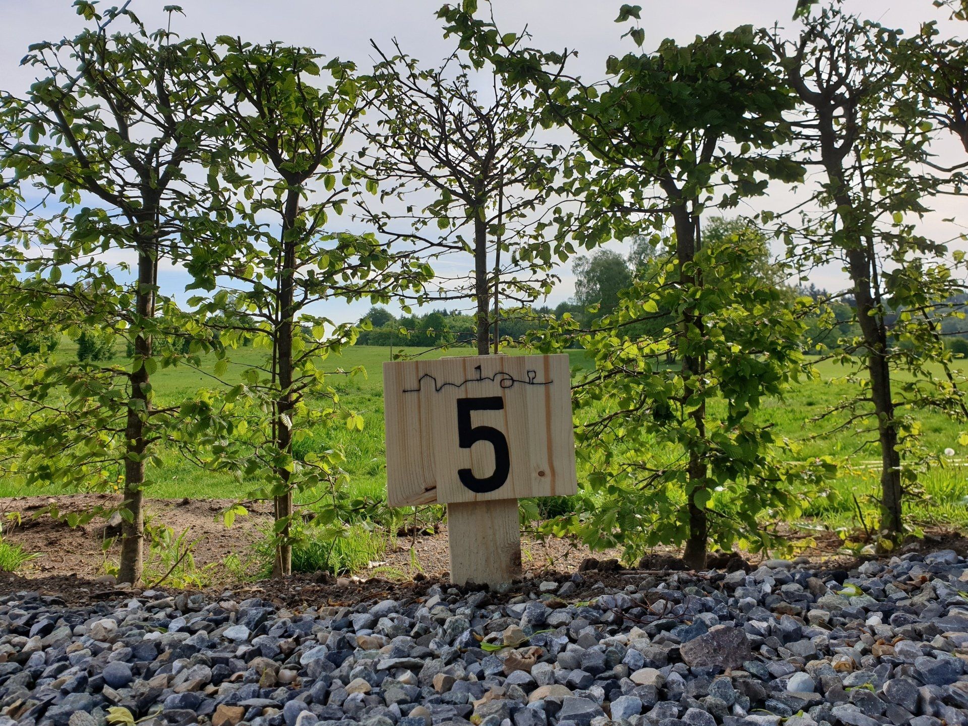 Holzschild Stellplatznummer Fuerstlicher Stellplatz Bad Waldsee