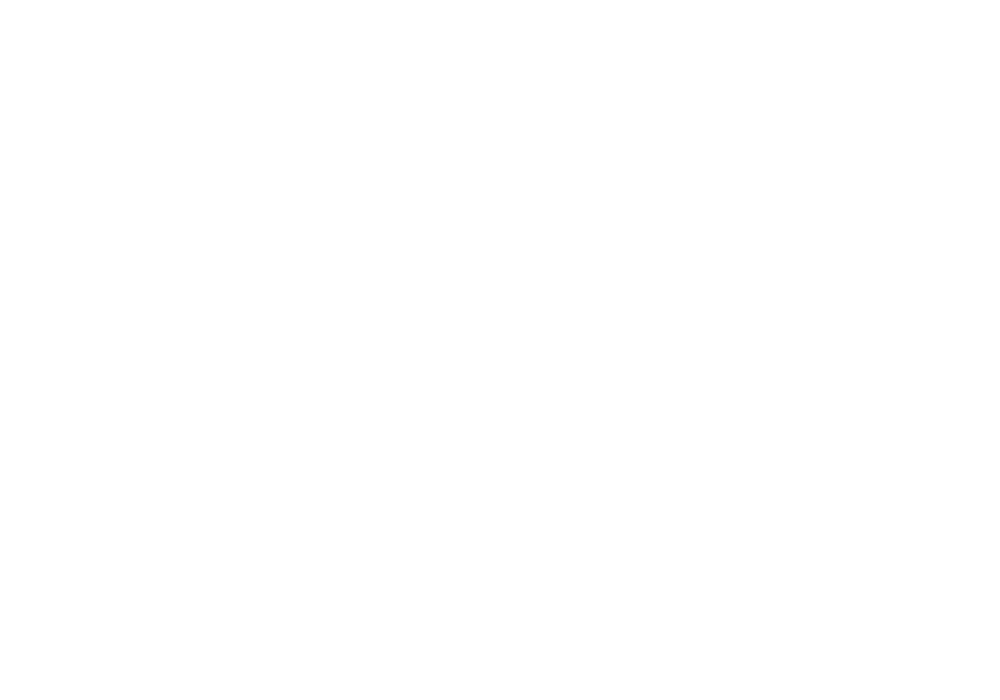 Logo weiß Fuerstlicher Stellplatz Bad Waldsee,