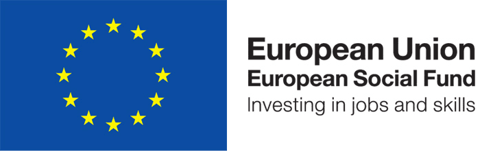 European Social Fund Logo