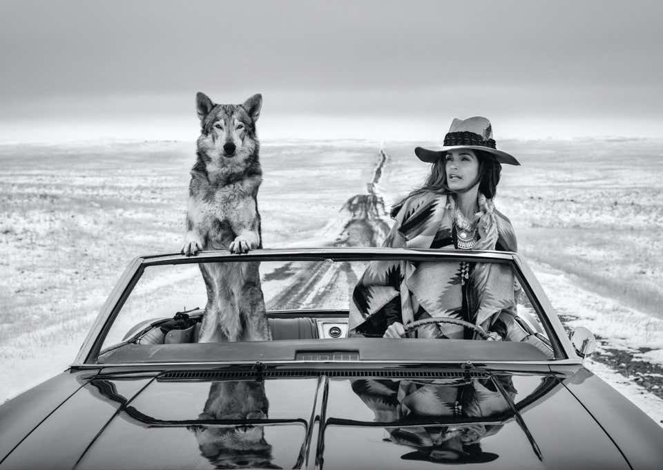 photograph of cindy crawford with wolf in car on empty road by david yarrow