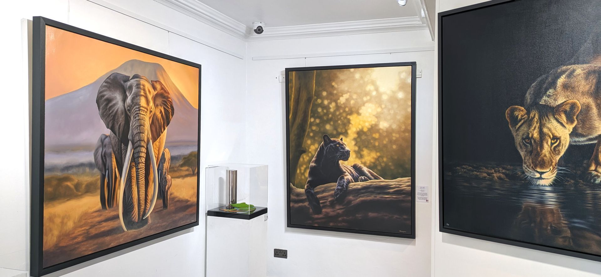 Photorealistic wildlife paintings by Kirsten Mirreyu of a lion, a panther and an elephant herd on display at Watson Gallery Edinburgh