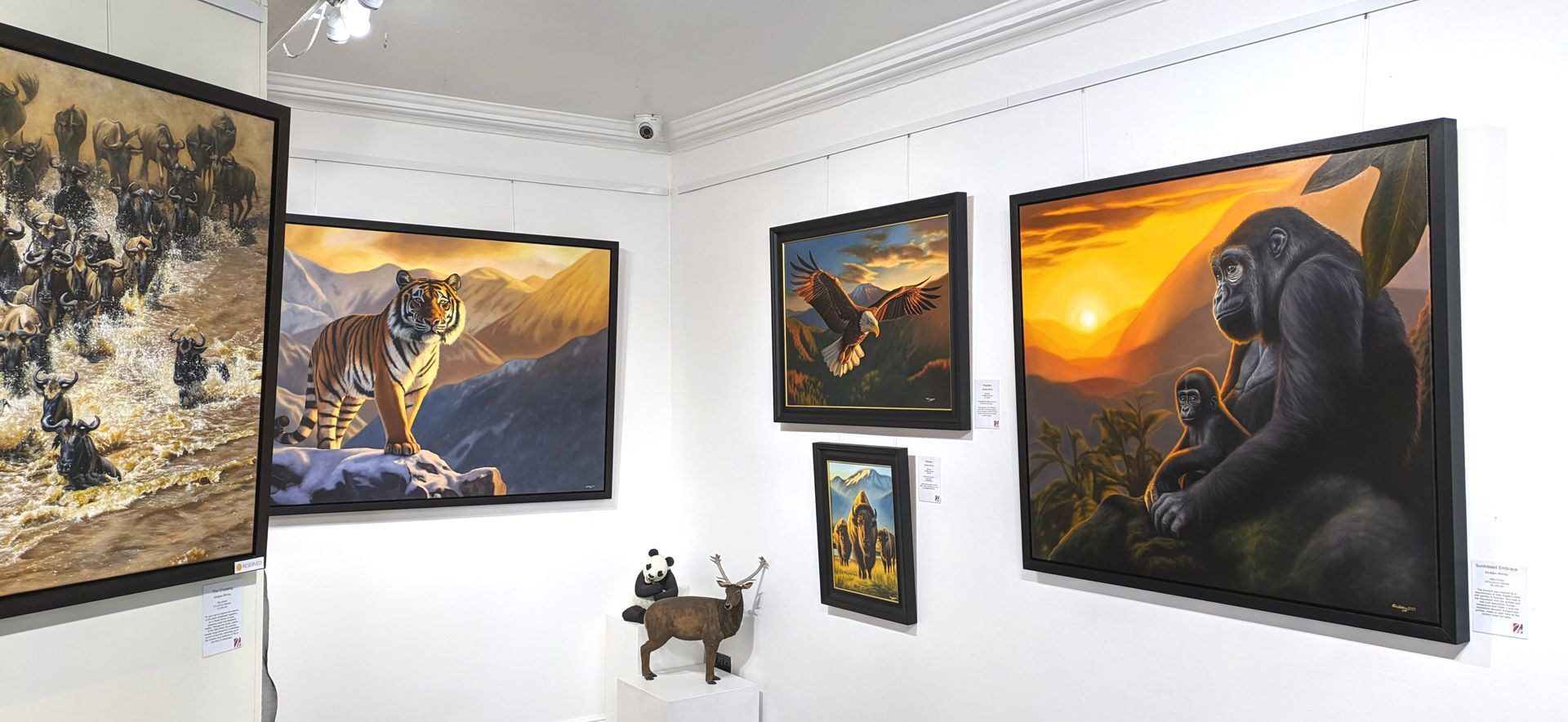 Original wildlife paintings of wildebeest, gorillas, eagle, bison and a tiger by Kirsten Mirrey