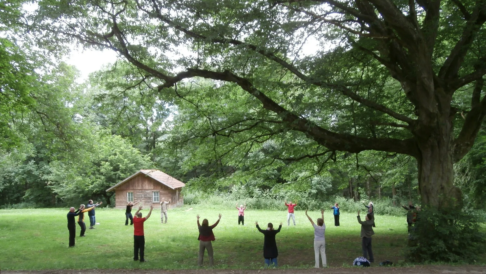 Qi Gong Übung mit Thomas Übelacker - Energie des Himmels zur Erde bringen, auf einer Waldwiese unter Bäumen