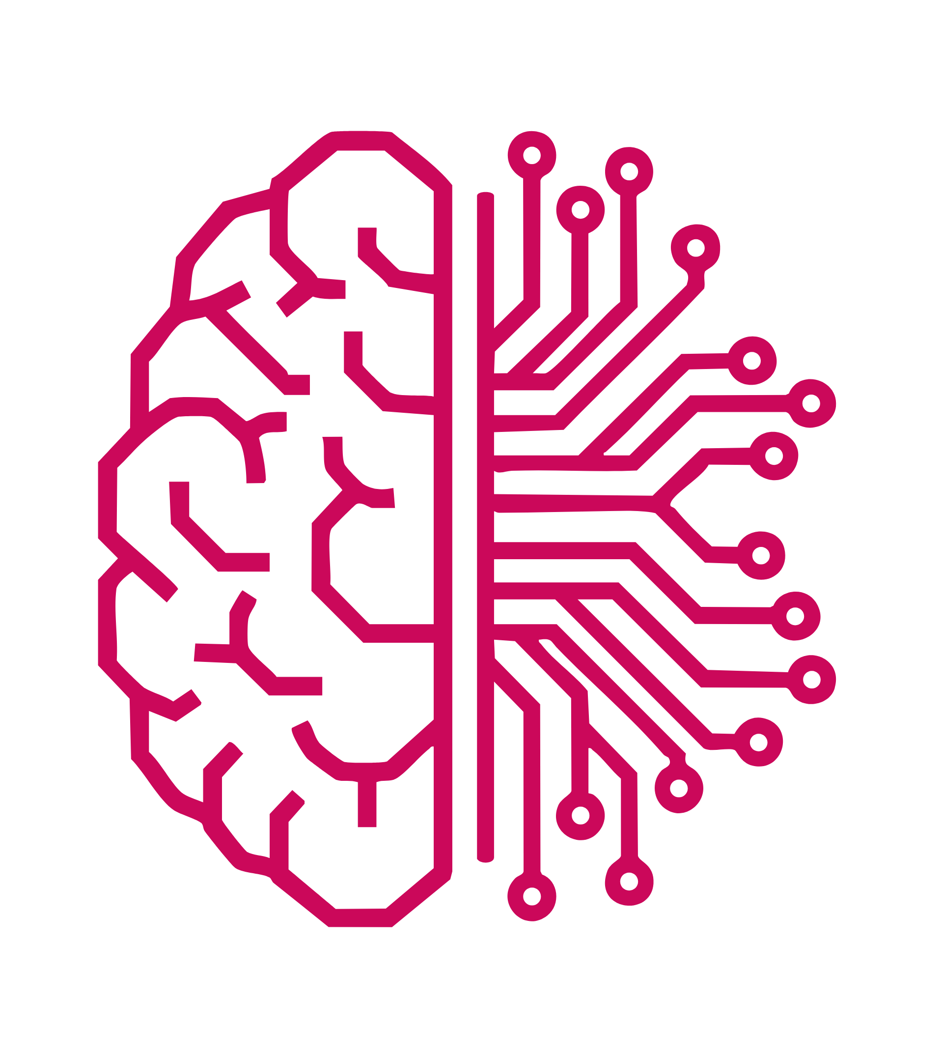 Une expertise dans l’intelligence artificielle et les nouvelles pratiques de travail