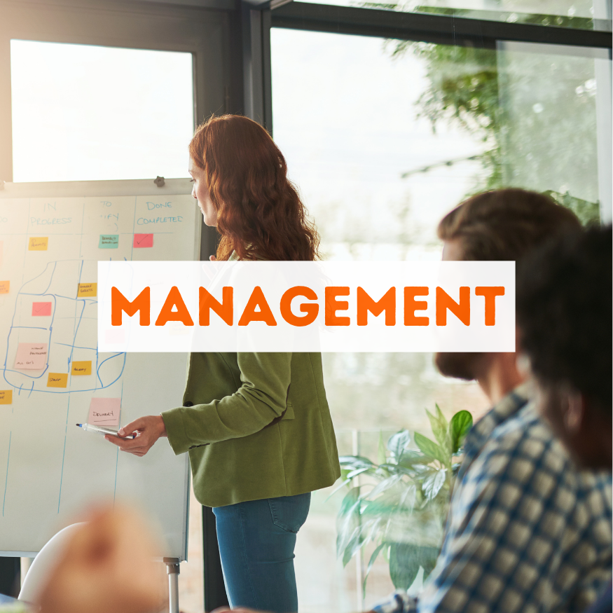 Les meilleures formations en management