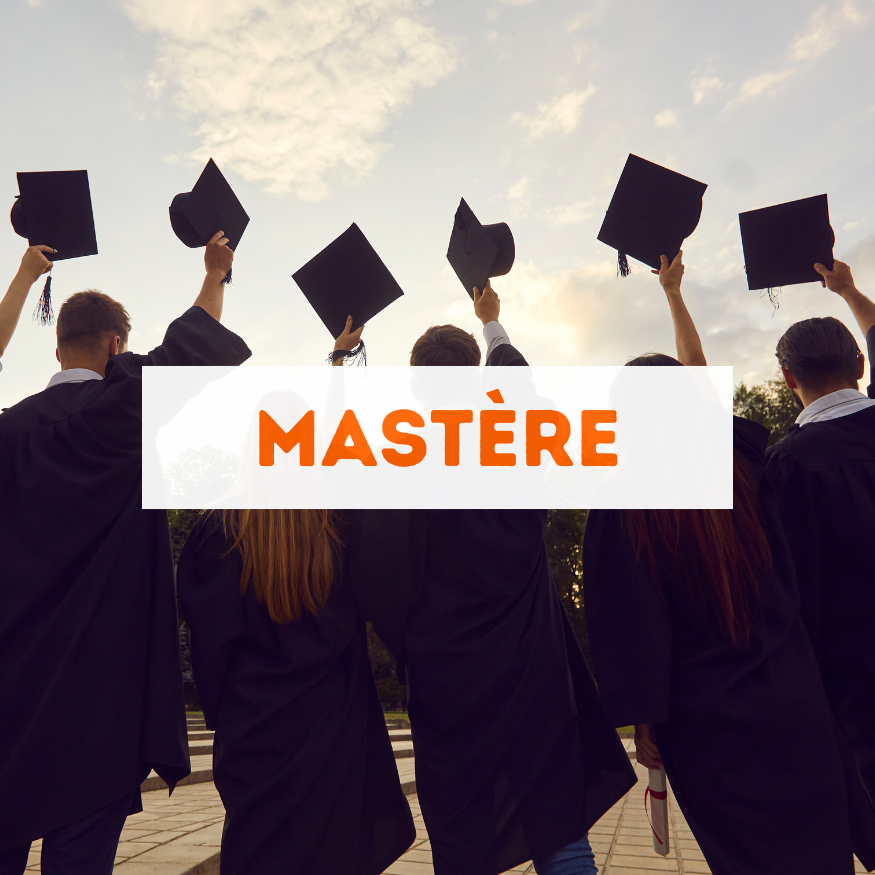 formation mastère