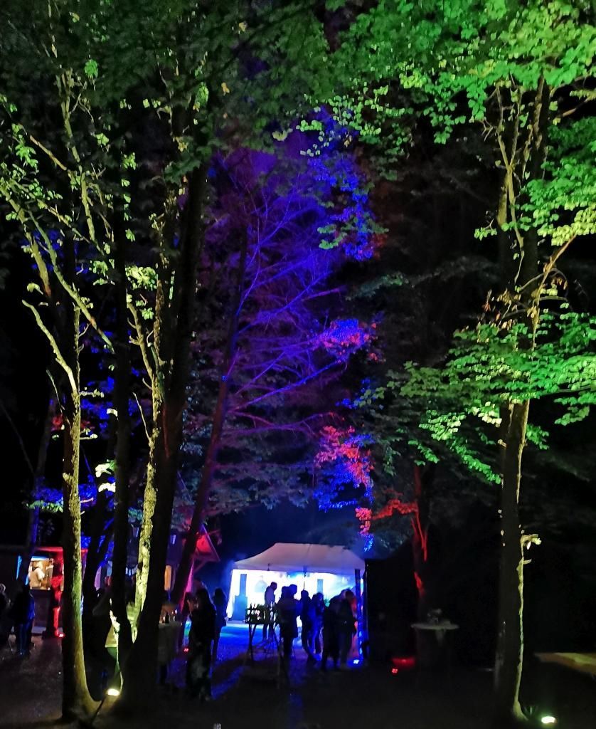 Dekobeleuchtung im Wald