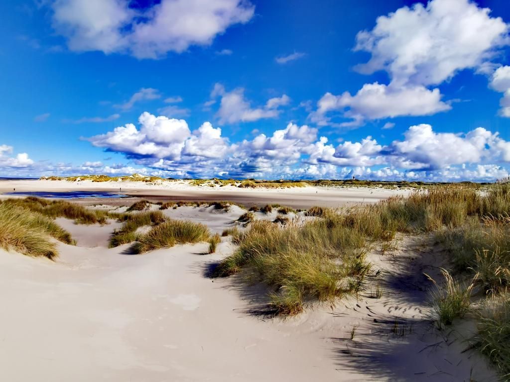 Urlaub an der Nordsee Dünenlandschaft auf der Insel Amrum