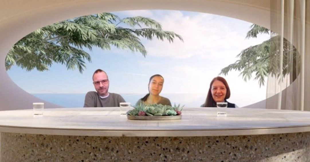 Screenshot eines Online Meetings