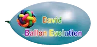 David Ballon Evolution decoration-ballons-normandie