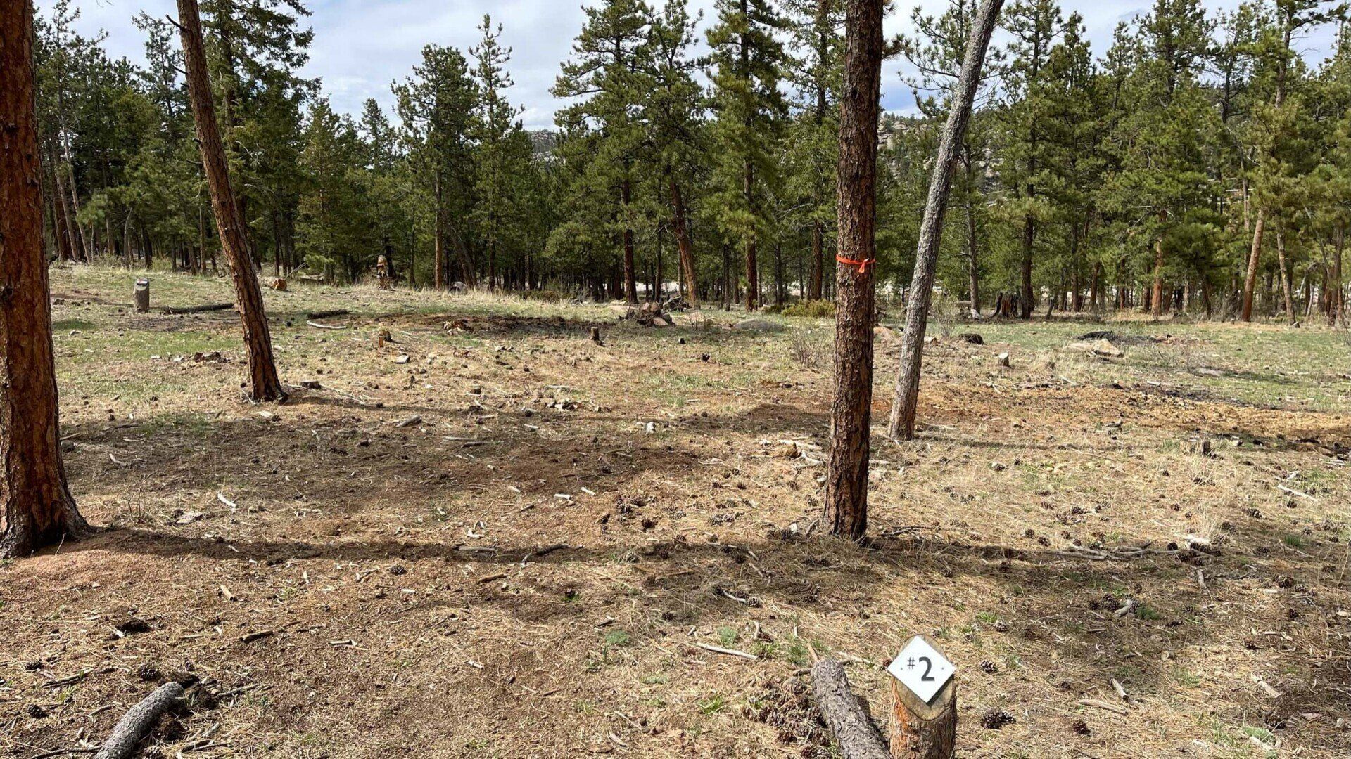 New Disc Golf Tee 2 at Sundance Trail Guest Ranch May 2022
