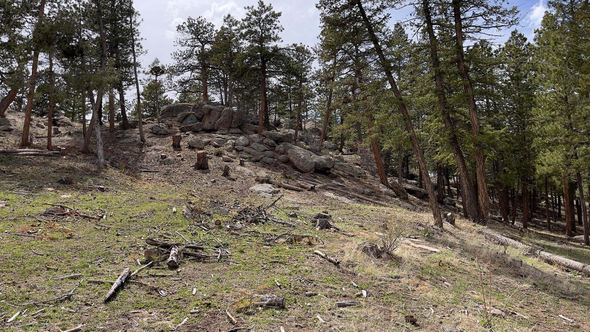 New disc golf fairway of hole 3 at Sundance Trail Guest Ranch May 2022 New disc golf fairway of hole 3 at Sundance Trail Guest Ranch May 2022