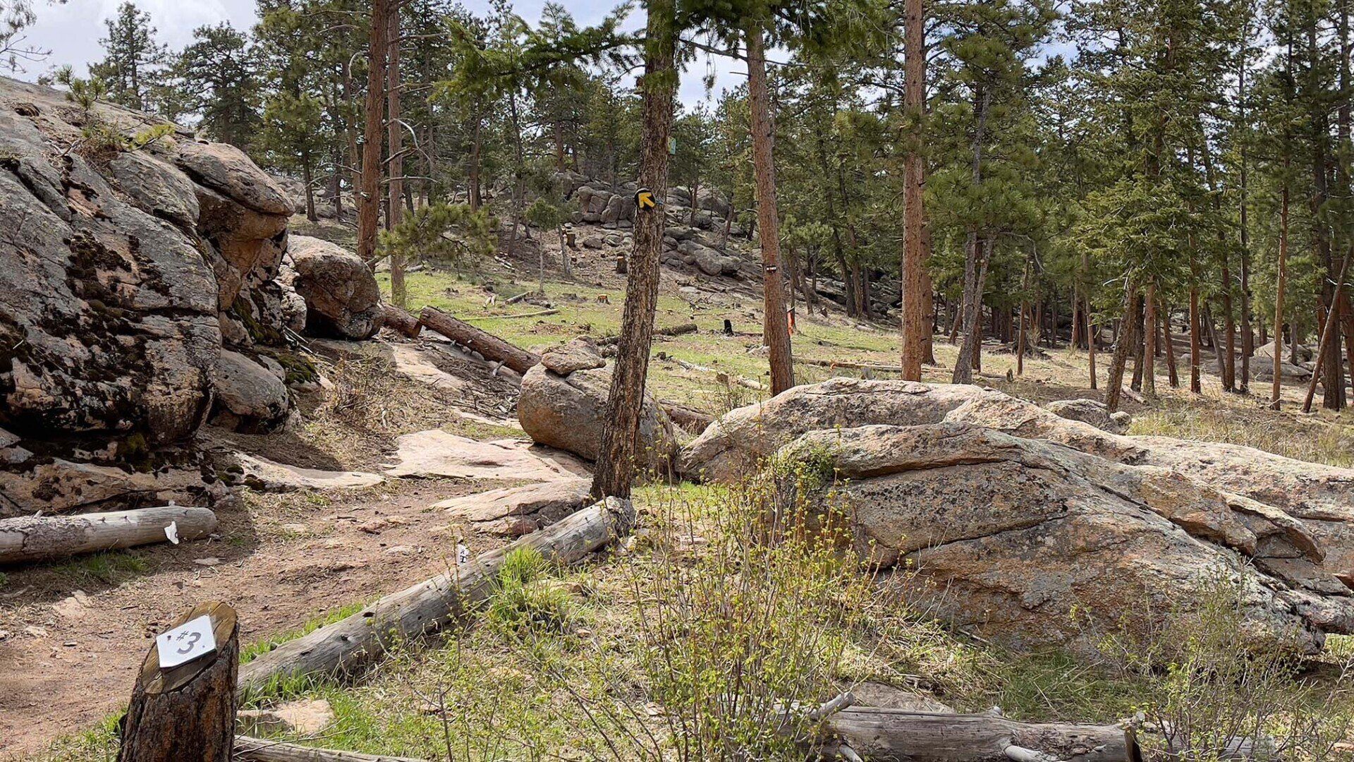 New disc golf tee 3 at Sundance Trail Guest Ranch May 2022 New disc golf tee 3 at Sundance Trail Guest Ranch May 2022