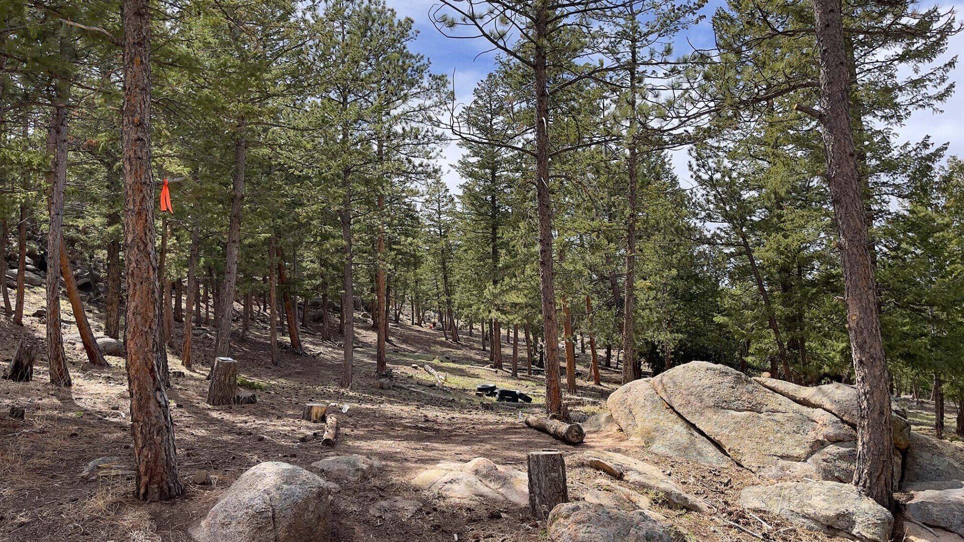 New disc golf hole 4 tee at Sundance Trail Guest Ranch May 2022 New disc golf hole 4 tee at Sundance Trail Guest Ranch May 2022