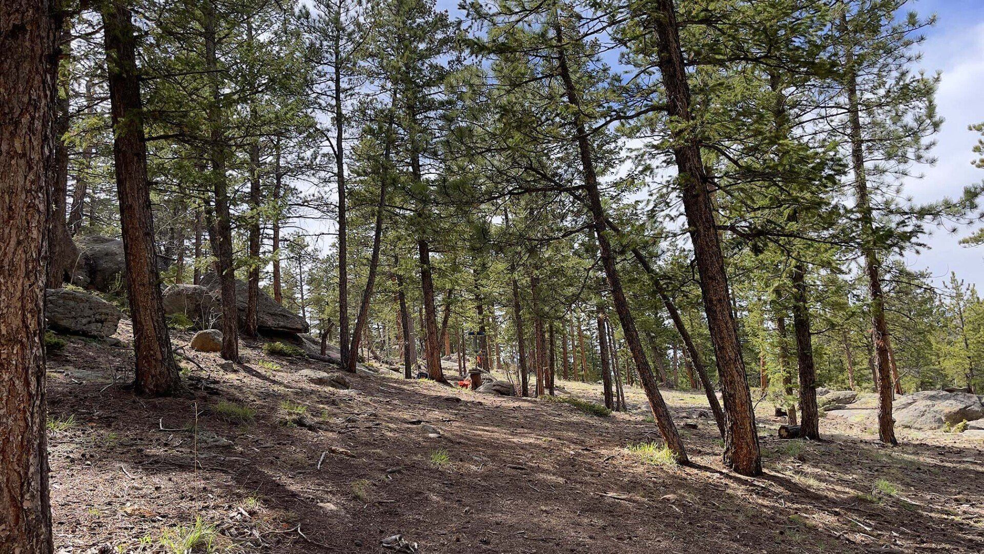 New disc golf hole 4 at Sundance Trail Guest Ranch May 2022