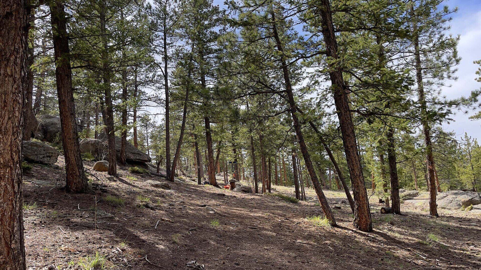 New disc golf hole 4 at Sundance Trail Guest Ranch May 2022 New disc golf hole 4 at Sundance Trail Guest Ranch May 2022