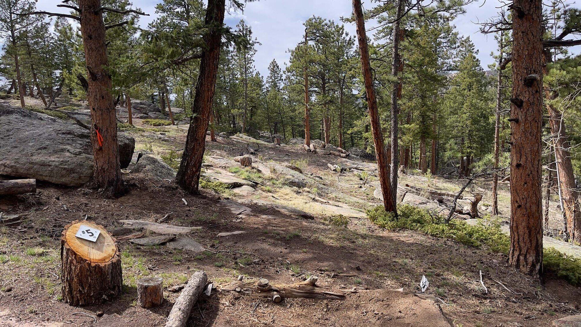 New disc golf hole 5 tee at Sundance Trail Guest Ranch May 2022 New disc golf hole 5 tee at Sundance Trail Guest Ranch May 2022