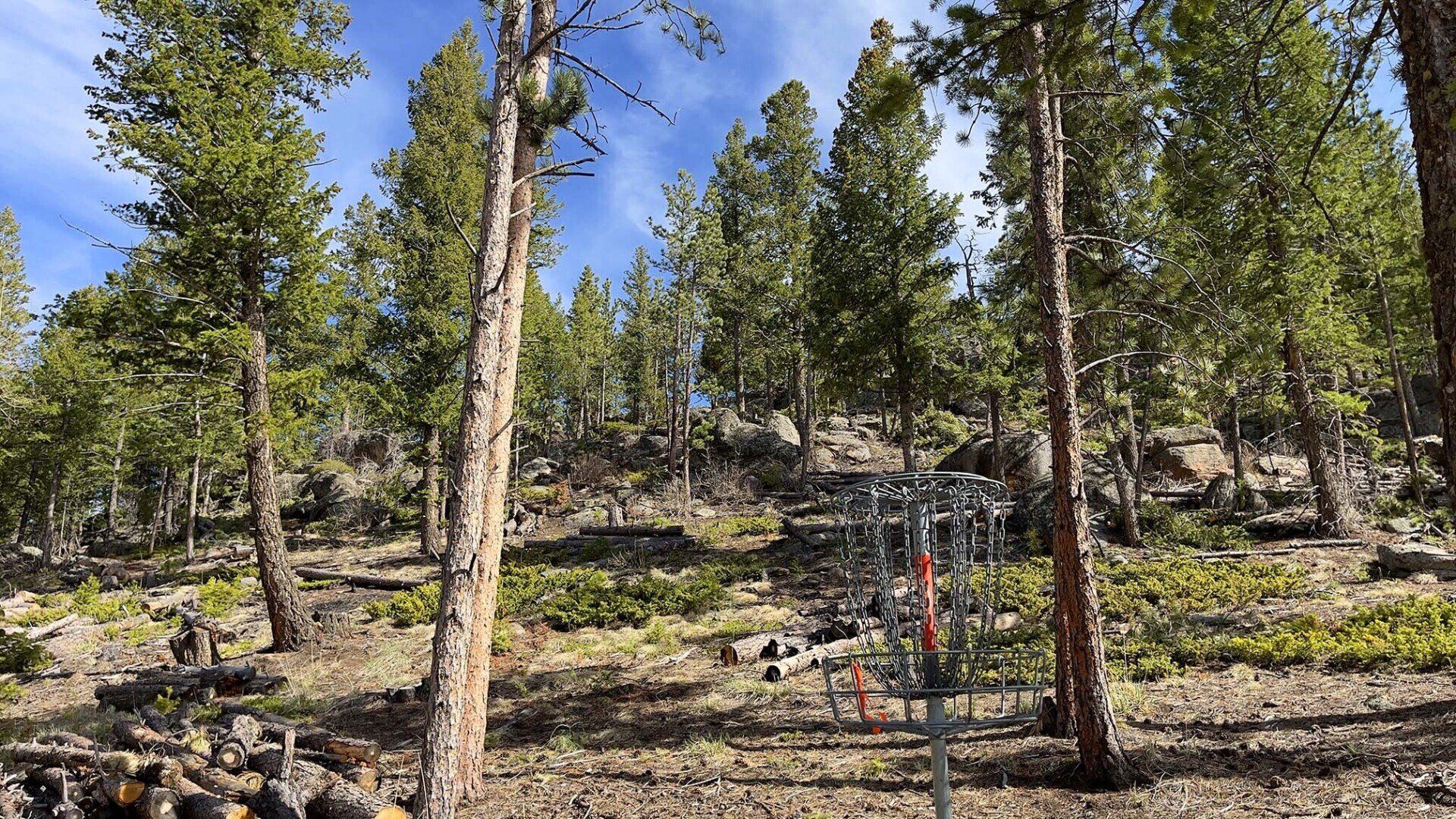 New disc golf hole 6's basket at Sundance Trail Guest Ranch May 2022