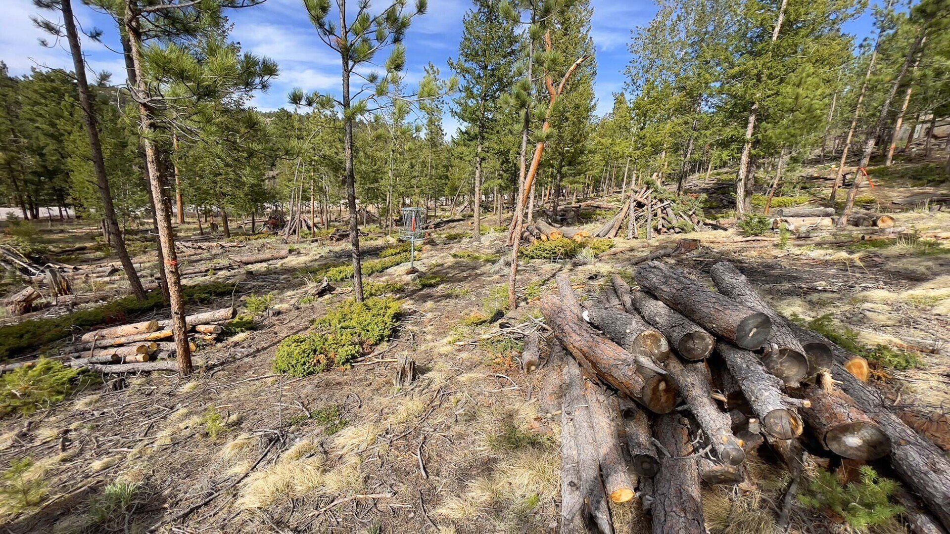 New disc golf hole 7 basket at Sundance Trail Guest Ranch May 2022 New disc golf hole 7 basket at Sundance Trail Guest Ranch May 2022